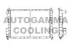 AUTOGAMMA 100269 Radiator, engine cooling